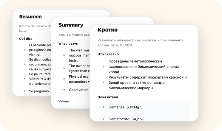 Краткие пересказы документа на испанском, английском и русском