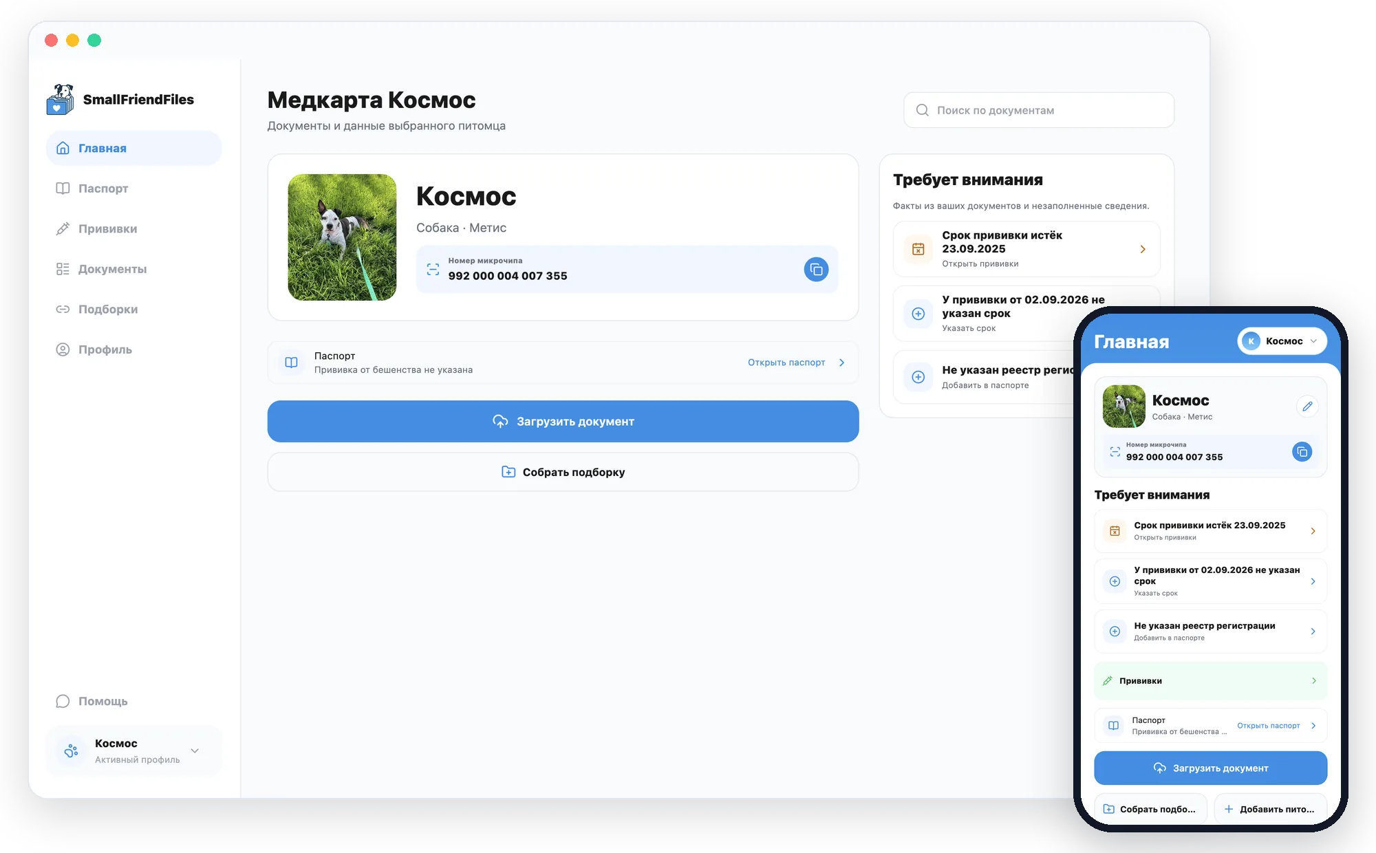 Экран приложения: Главная — питомец, номер чипа и то, что требует внимания